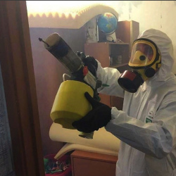 Уничтожение клопов в квартире. Лианозово 